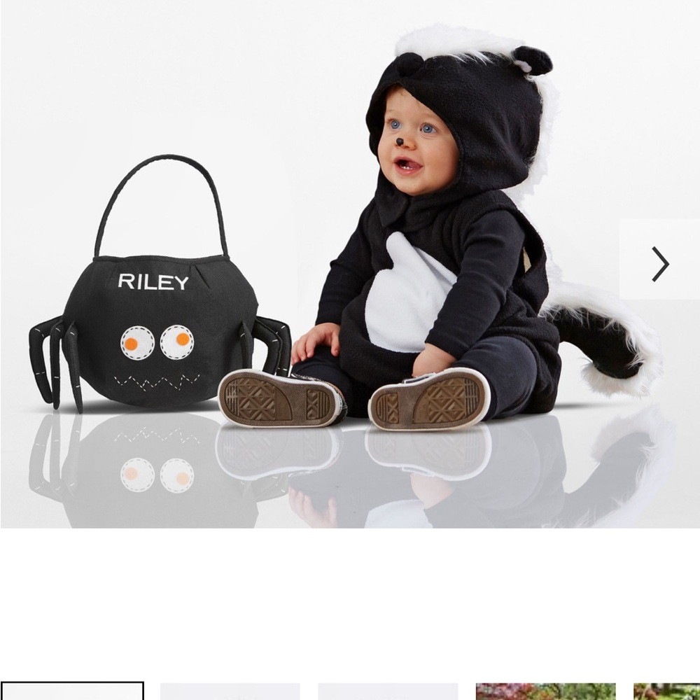 Skunk Costume